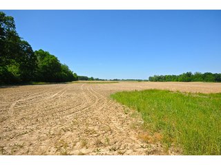 Property photo 73 - LAND AUCTION - 604+/- ACRES OFFERED IN 24 TRACTS IN MORGAN COUNTY, INDIANA